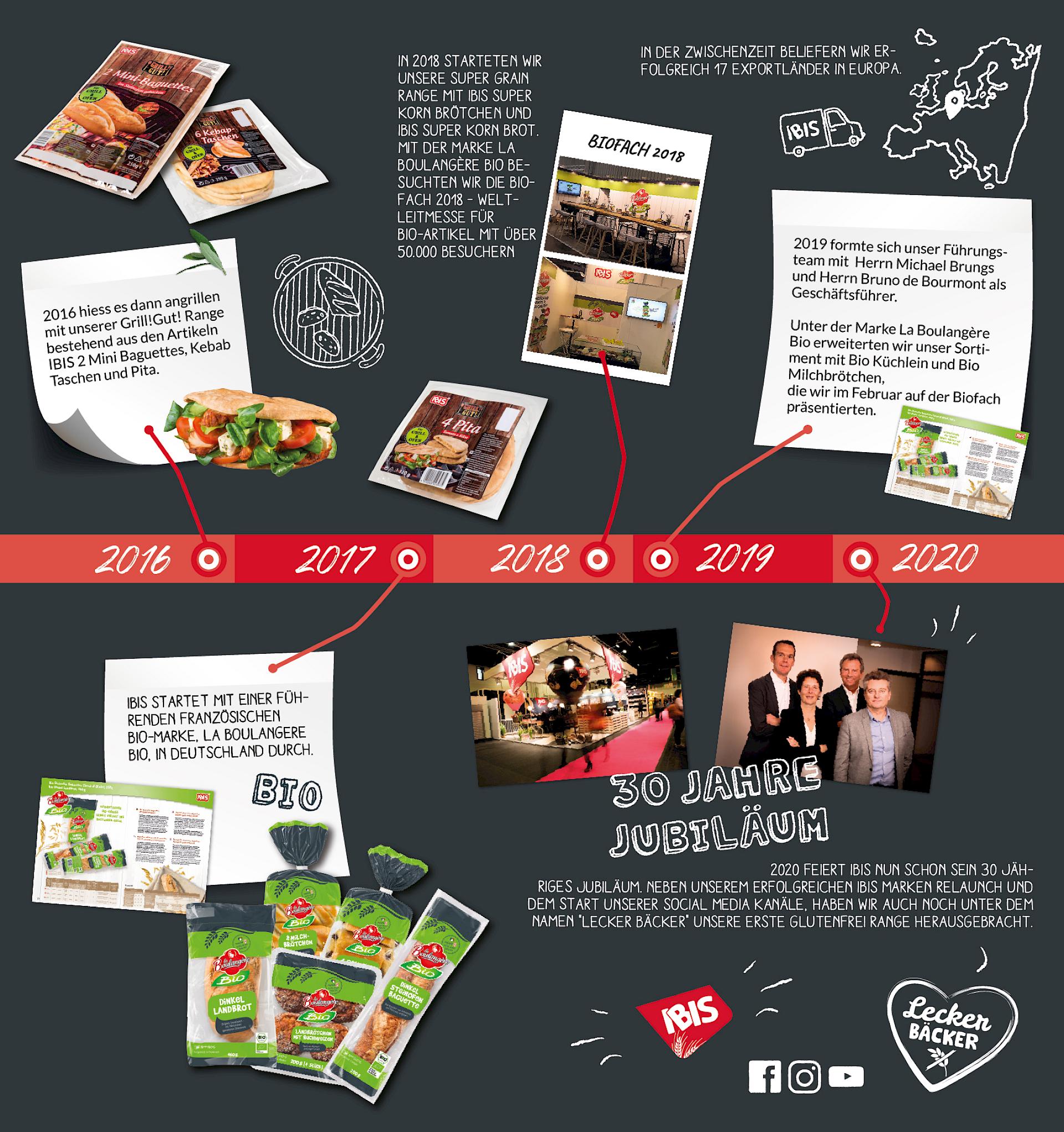 Timeline of IBIS company history