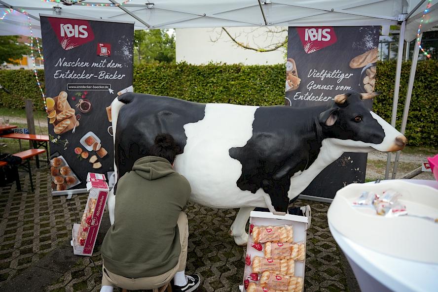 Person milking a life-sized replica of a black-and-white cow; IBIS advertising banners with baked goods in the background and a box of IBIS products in the foreground.